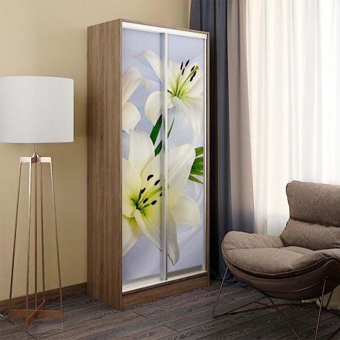 Шкаф купе Standart 900мм