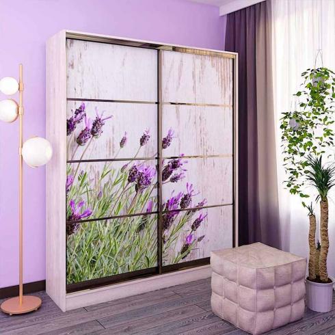 Шкаф купе Standart 1700мм