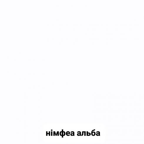 Стіл обідній 3 не розкладний foto 4